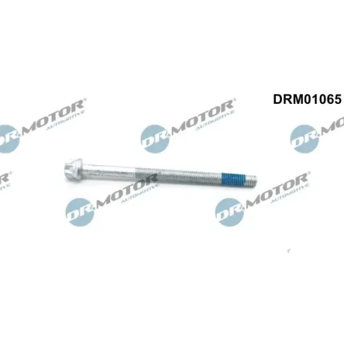 Csavar, Befecskendező Fúvóka Tartó - DRM (DRM01065)