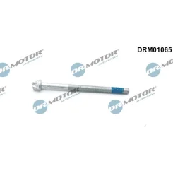 Csavar, Befecskendező Fúvóka Tartó - DRM (DRM01065)
