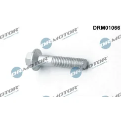 Csavar, Befecskendező Fúvóka Tartó - DRM (DRM01066)