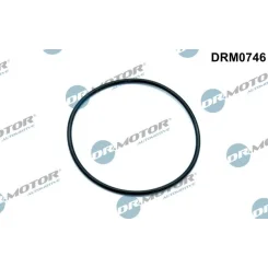 Tömítés, Vákuumszivattyú - DRM (DRM0746)