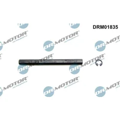 Hajtótengely, Olajszivattyú - DRM (DRM01835)