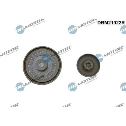 Membrán, Forgattyúház Szellőztetés - DRM (DRM21922R)