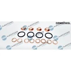 Tömítéskészlet, Befecskendező Fúvóka - DRM (DRM0256SL)