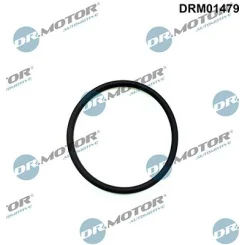 Uszczelka Pompy Wtry. Ford Transit 2.2Tdci 06- - DRM (DRM01479)