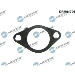 Uszczelka Zaworu Egr Ford 1.6Tdci 10- - DRM (DRM01706)