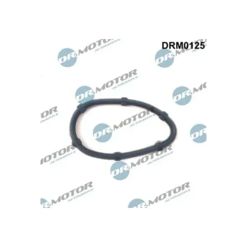 Szív. Csö Tömítés Renault Clio 98- - DRM (DRM0125)
