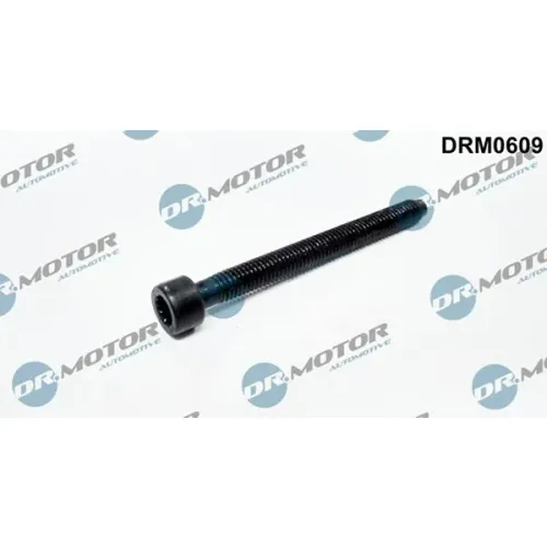Csavar, Befecskendező Fúvóka Tartó - DRM (DRM0609)
