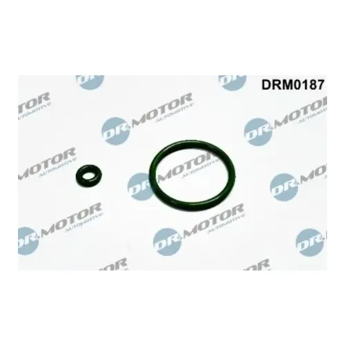 Tömítőgyűrű, Fúvóka Tartó - DRM (DRM0187)
